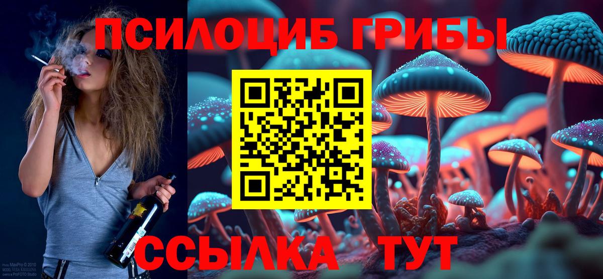 дарнет шоп  Галлюциногенные грибы мицелий  Псилоцибиновые грибы Cubensis  Вход с VPN  Вышний Волочёк 