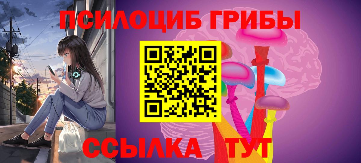Галлюциногенные грибы Magic Shrooms Вышний Волочёк
