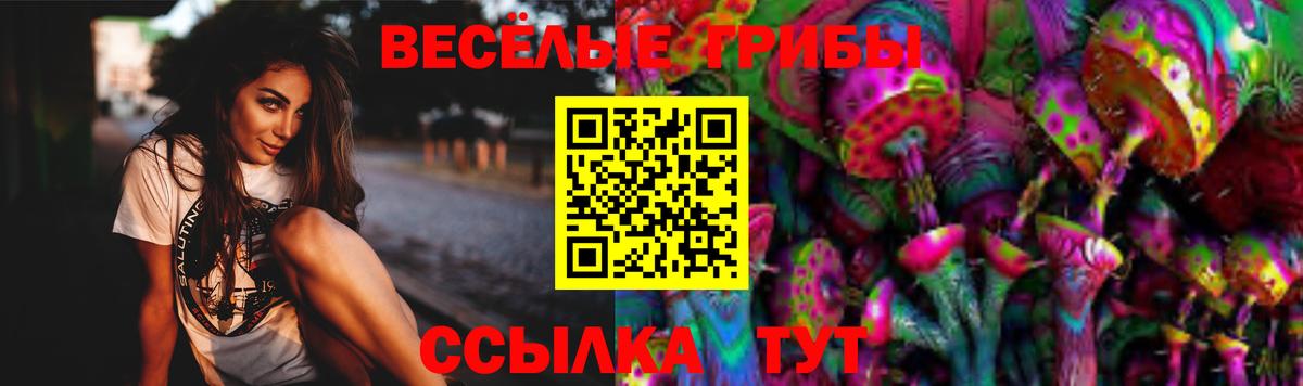 Галлюциногенные грибы прущие грибы  Галлюциногенные грибы MAGIC MUSHROOMS  Вышний Волочёк 